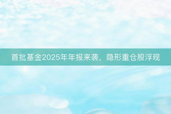 首批基金2025年年报来袭，隐形重仓股浮现