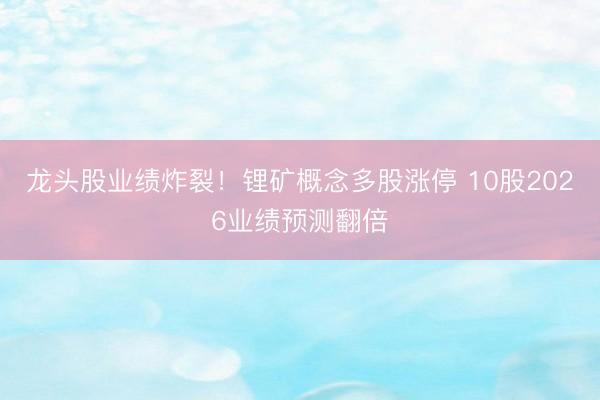 龙头股业绩炸裂！锂矿概念多股涨停 10股2026业绩预测翻倍