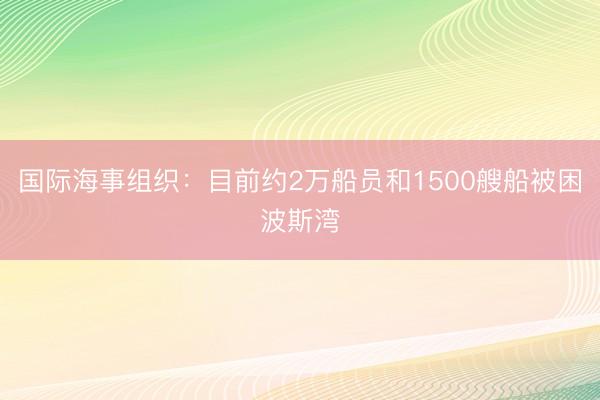 国际海事组织：目前约2万船员和1500艘船被困波斯湾