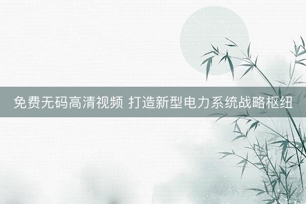 免费无码高清视频 打造新型电力系统战略枢纽