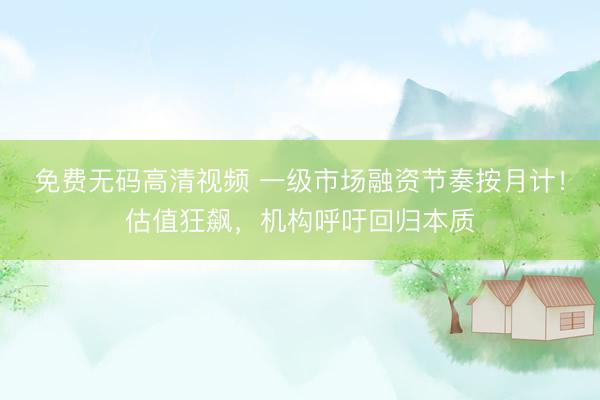 免费无码高清视频 一级市场融资节奏按月计!估值狂飙,机构呼吁回归本质