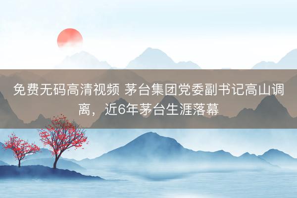 免费无码高清视频 茅台集团党委副书记高山调离，近6年茅台生涯落幕