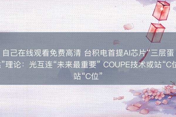 自己在线观看免费高清 台积电首提AI芯片“三层蛋糕”理论：光互连“未来最重要” COUPE技术或站“C位”