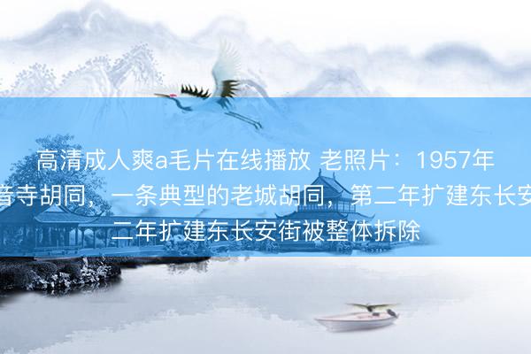 高清成人爽a毛片在线播放 老照片：1957年北京东单西观音寺胡同，一条典型的老城胡同，第二年扩建东长安街被整体拆除