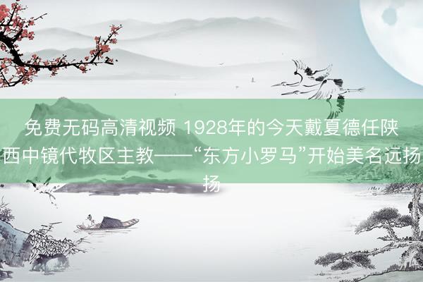 免费无码高清视频 1928年的今天戴夏德任陕西中镜代牧区主教——“东方小罗马”开始美名远扬