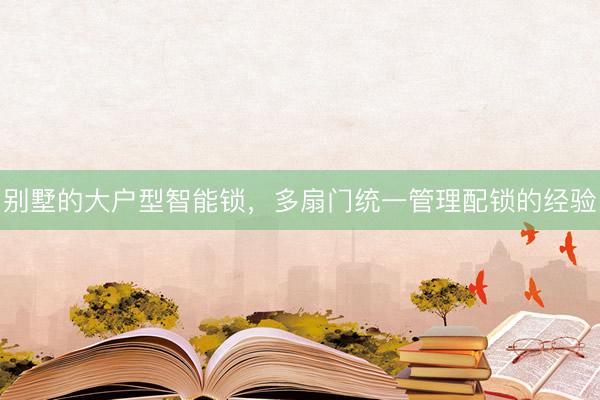 别墅的大户型智能锁，多扇门统一管理配锁的经验