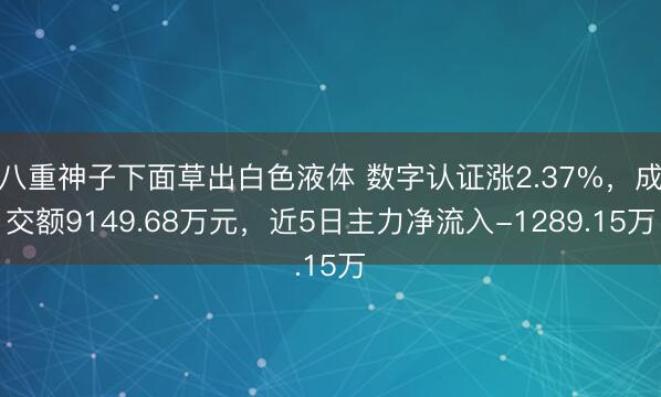 八重神子下面草出白色液体 数字认证涨2.37%，成交额9149.68万元，近5日主力净流入-1289.15万