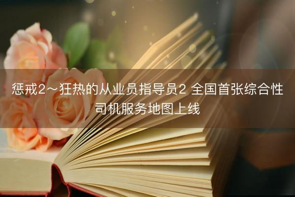 惩戒2～狂热的从业员指导员2 全国首张综合性司机服务地图上线