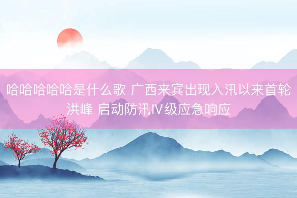 哈哈哈哈哈是什么歌 广西来宾出现入汛以来首轮洪峰 启动防汛Ⅳ级应急响应