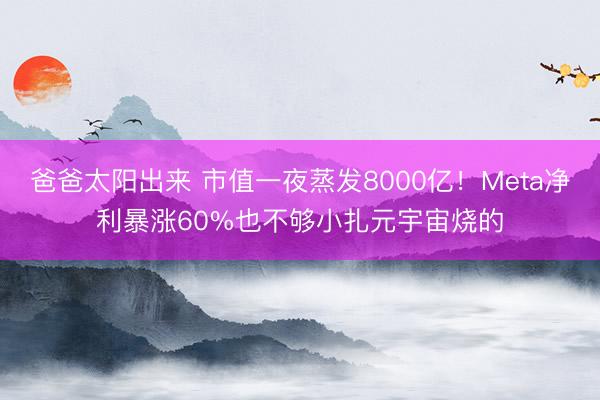 爸爸太阳出来 市值一夜蒸发8000亿！Meta净利暴涨60%也不够小扎元宇宙烧的