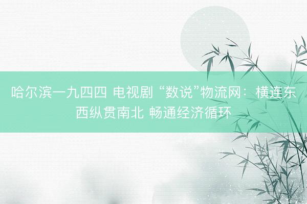 哈尔滨一九四四 电视剧 “数说”物流网：横连东西纵贯南北 畅通经济循环