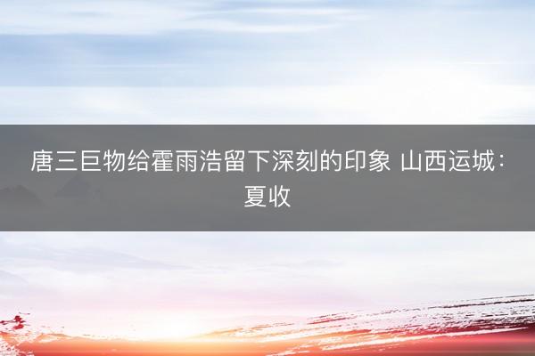 唐三巨物给霍雨浩留下深刻的印象 山西运城:夏收