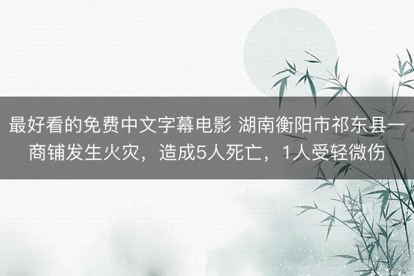 最好看的免费中文字幕电影 湖南衡阳市祁东县一商铺发生火灾，造成5人死亡，1人受轻微伤
