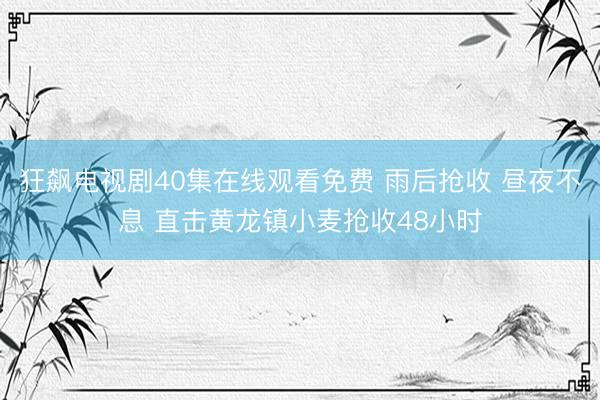 狂飙电视剧40集在线观看免费 雨后抢收 昼夜不息 直击黄龙镇小麦抢收48小时