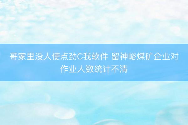 哥家里没人使点劲C我软件 留神峪煤矿企业对作业人数统计不清