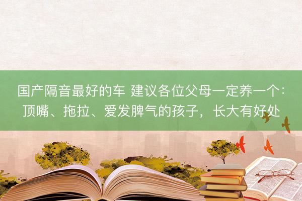 国产隔音最好的车 建议各位父母一定养一个:顶嘴、拖拉、爱发脾气的孩子,长大有好处
