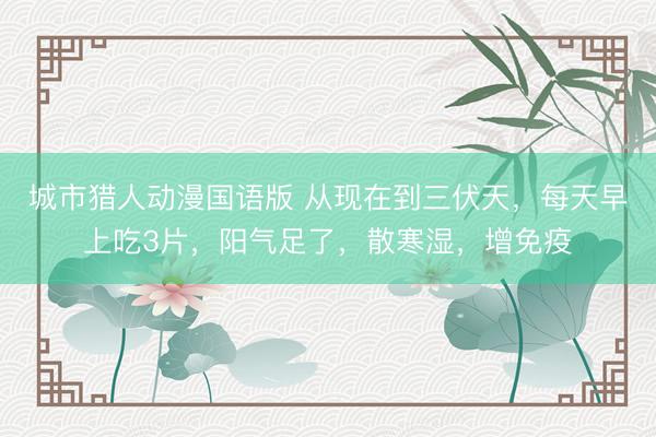 城市猎人动漫国语版 从现在到三伏天，每天早上吃3片，阳气足了，散寒湿，增免疫
