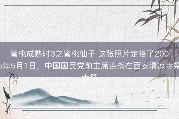 蜜桃成熟时3之蜜桃仙子 这张照片定格了2005年5月1日，中国国民党前主席连战在西安清凉寺祭