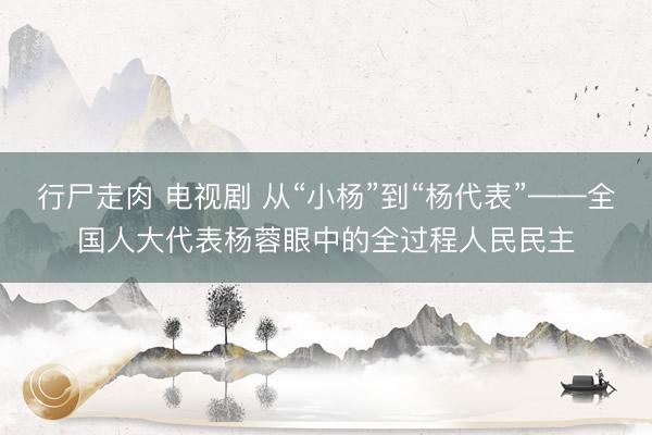 行尸走肉 电视剧 从“小杨”到“杨代表”——全国人大代表杨蓉眼中的全过程人民民主