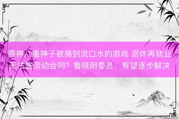 原神八重神子被捅到流口水的游戏 退休再就业无法签劳动合同？鲁晓明委员：有望逐步解决