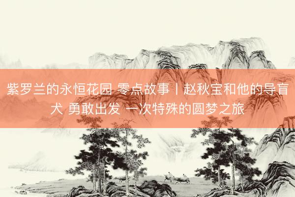 紫罗兰的永恒花园 零点故事丨赵秋宝和他的导盲犬 勇敢出发 一次特殊的圆梦之旅