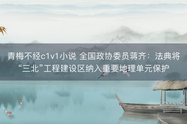 青梅不经c1v1小说 全国政协委员蒋齐：法典将“三北”工程建设区纳入重要地理单元保护