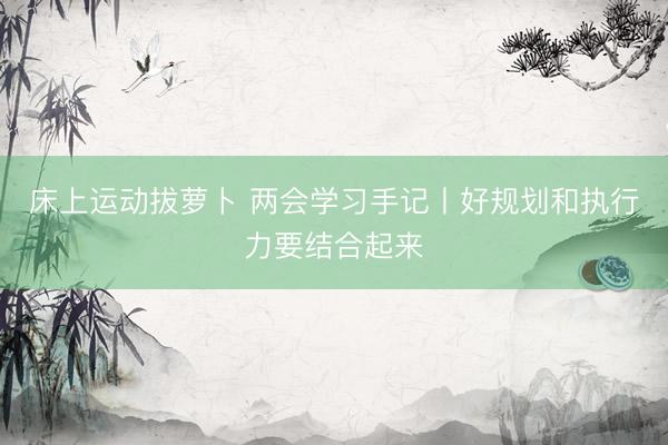 床上运动拔萝卜 两会学习手记丨好规划和执行力要结合起来