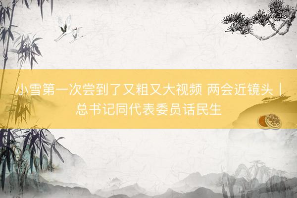 小雪第一次尝到了又粗又大视频 两会近镜头|总书记同代表委员话民生