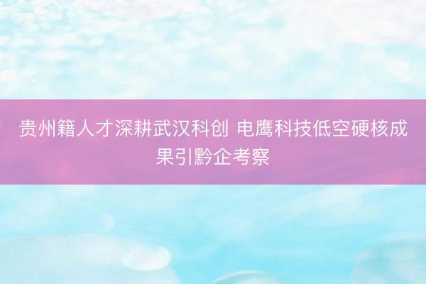 贵州籍人才深耕武汉科创 电鹰科技低空硬核成果引黔企考察