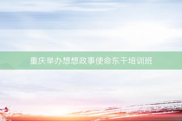 重庆举办想想政事使命东干培训班