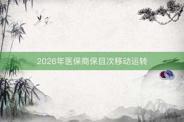 2026年医保商保目次移动运转