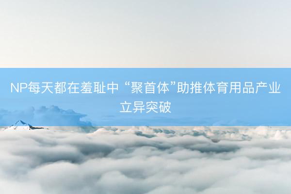 NP每天都在羞耻中 “聚首体”助推体育用品产业立异突破