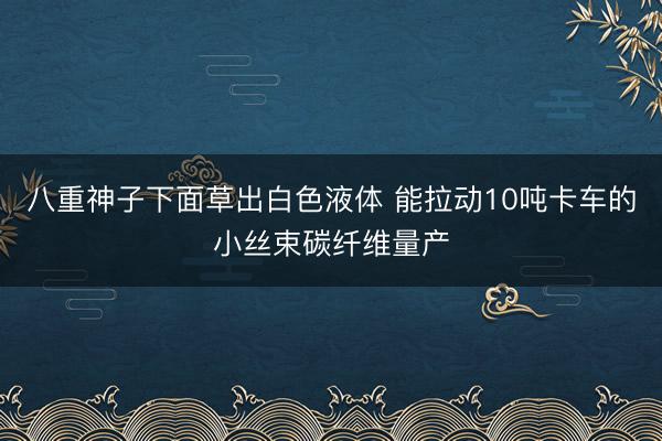 八重神子下面草出白色液体 能拉动10吨卡车的小丝束碳纤维量产