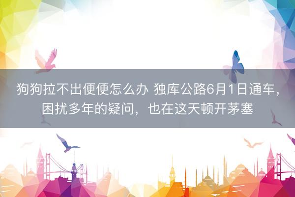 狗狗拉不出便便怎么办 独库公路6月1日通车，困扰多年的疑问，也在这天顿开茅塞