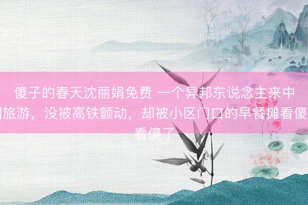 傻子的春天沈丽娟免费 一个异邦东说念主来中国旅游，没被高铁颤动，却被小区门口的早餐摊看傻了