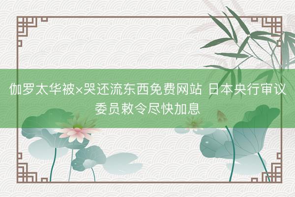 伽罗太华被×哭还流东西免费网站 日本央行审议委员敕令尽快加息