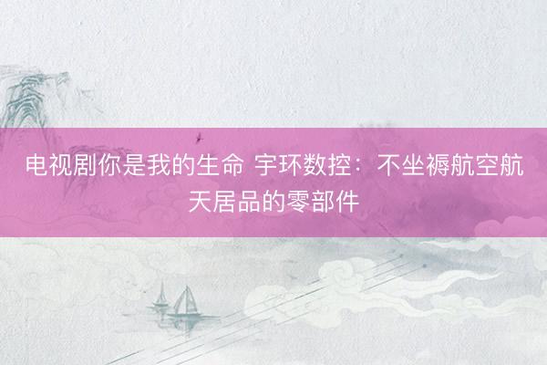 电视剧你是我的生命 宇环数控：不坐褥航空航天居品的零部件