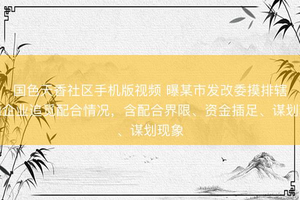 国色天香社区手机版视频 曝某市发改委摸排辖区内企业追觅配合情况，含配合界限、资金插足、谋划现象