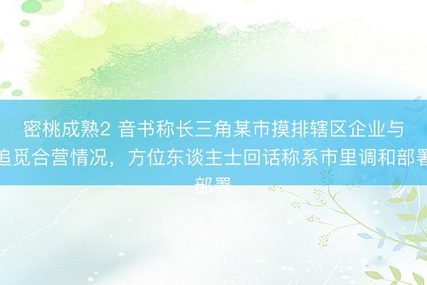 密桃成熟2 音书称长三角某市摸排辖区企业与追觅合营情况，方位东谈主士回话称系市里调和部署