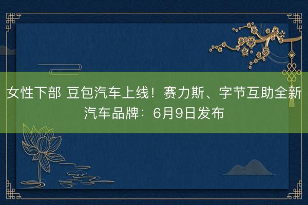 女性下部 豆包汽车上线！赛力斯、字节互助全新汽车品牌：6月9日发布