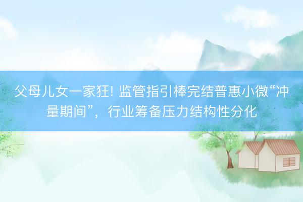 父母儿女一家狂! 监管指引棒完结普惠小微“冲量期间”，行业筹备压力结构性分化