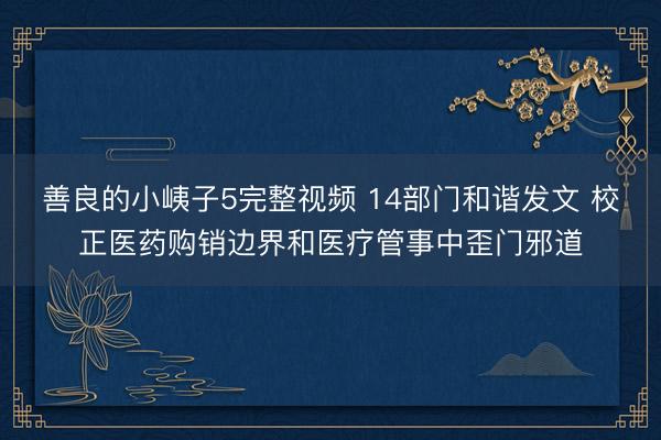 善良的小峓子5完整视频 14部门和谐发文 校正医药购销边界和医疗管事中歪门邪道