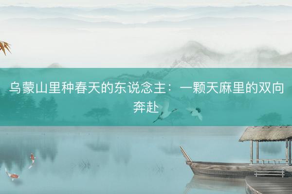 乌蒙山里种春天的东说念主：一颗天麻里的双向奔赴