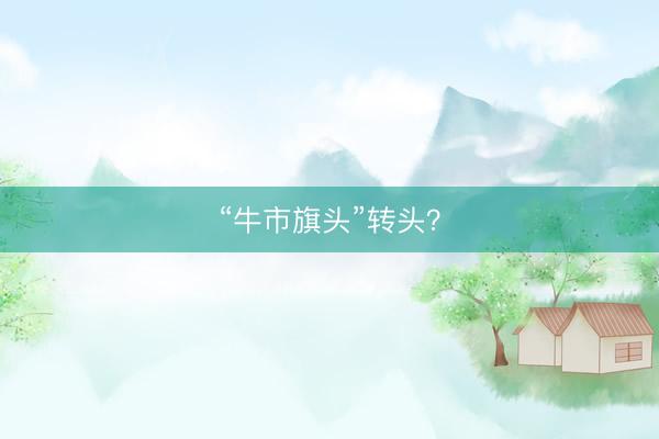 “牛市旗头”转头？