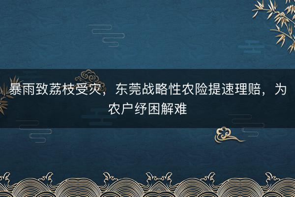 暴雨致荔枝受灾，东莞战略性农险提速理赔，为农户纾困解难