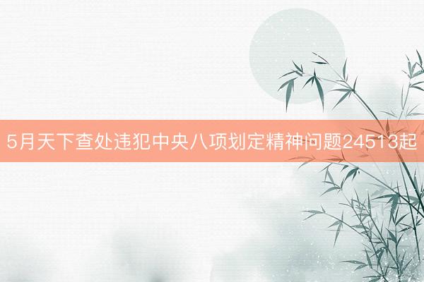 5月天下查处违犯中央八项划定精神问题24513起